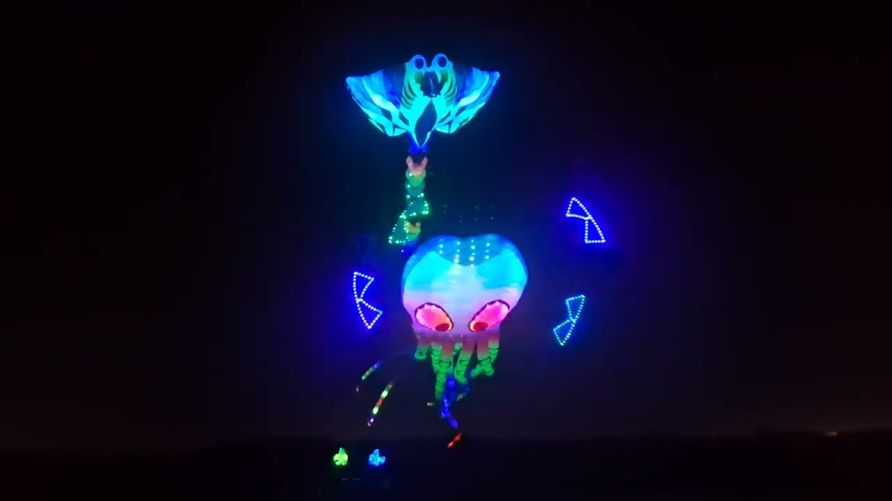 Team KiteLife's illuminated kites flying around a giant octopus kite at night in Port Aransas